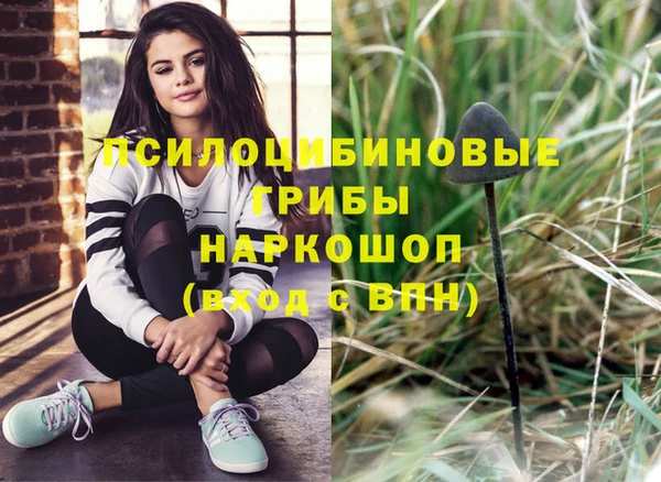 молекула духа Алзамай