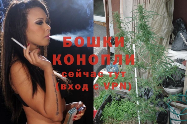 молекула духа Алзамай