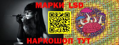 сатива Бердск
