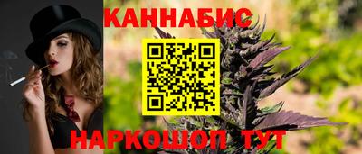 сатива Бердск