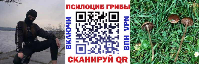 Псилоцибиновые грибы Magic Shrooms  Батайск 