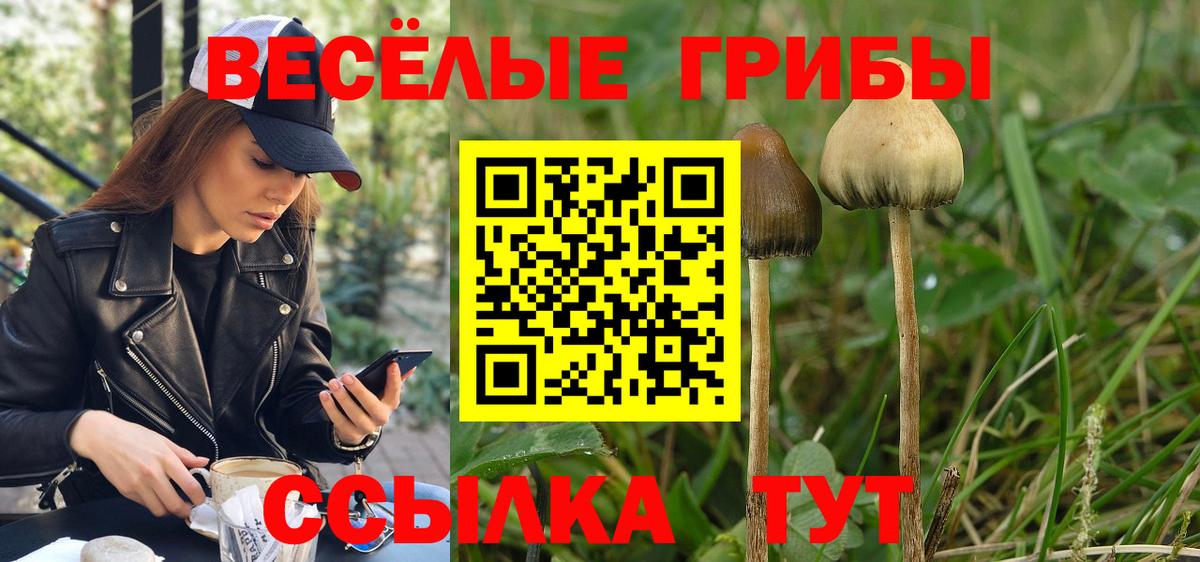 Псилоцибиновые грибы Magic Shrooms Батайск